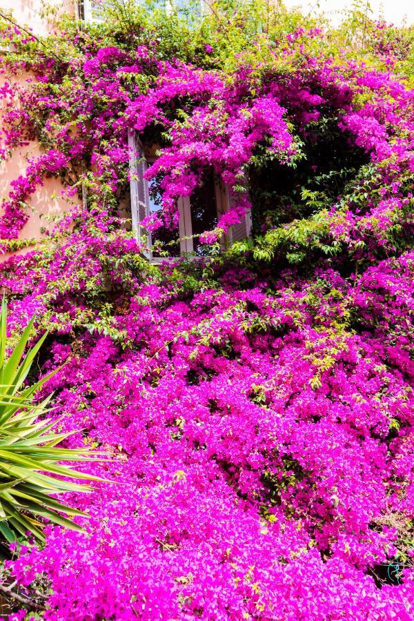 Orti 27 Garden Rome Trastevere - Rome Vacation M&D Dış mekan fotoğraf